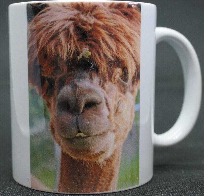 Foto Tasse Rasputin