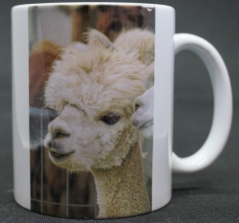 Foto Tasse Prinz