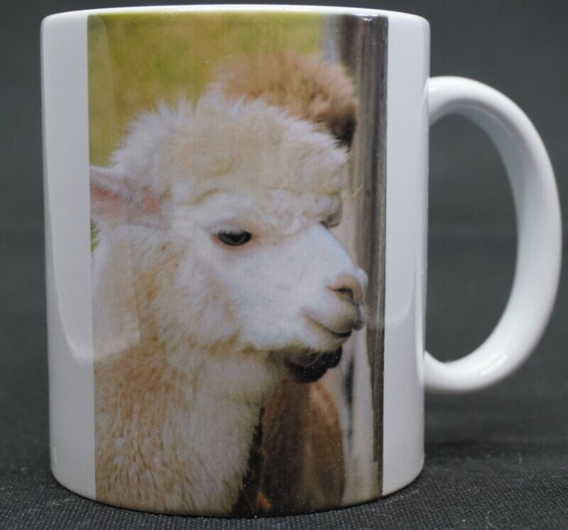 Foto Tasse Lissy
