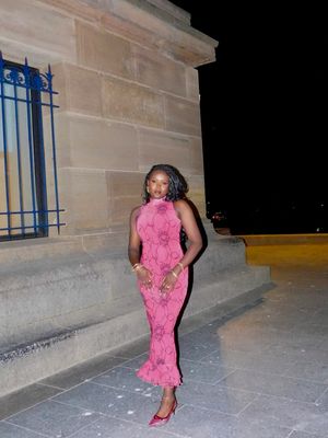 Sleeveless Mesh Dress