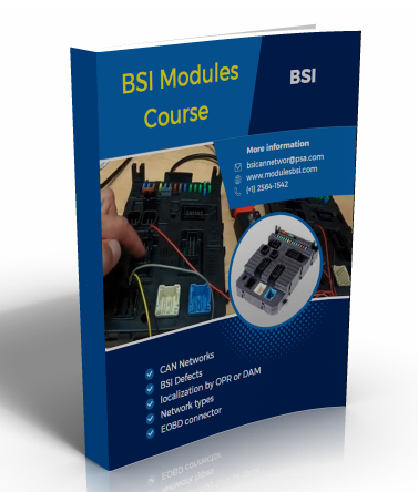 Bsi Modules Course