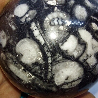 Spheres