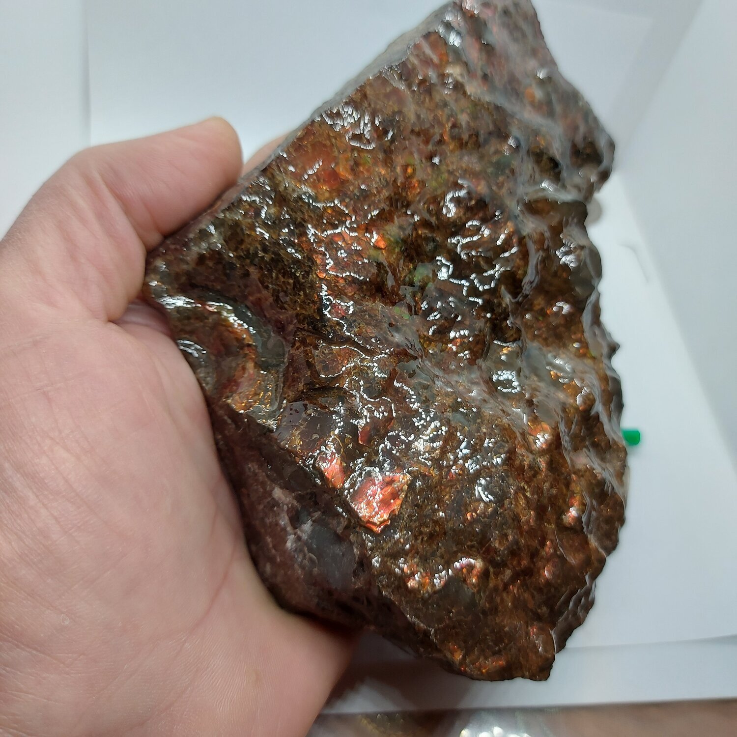 Ammolite