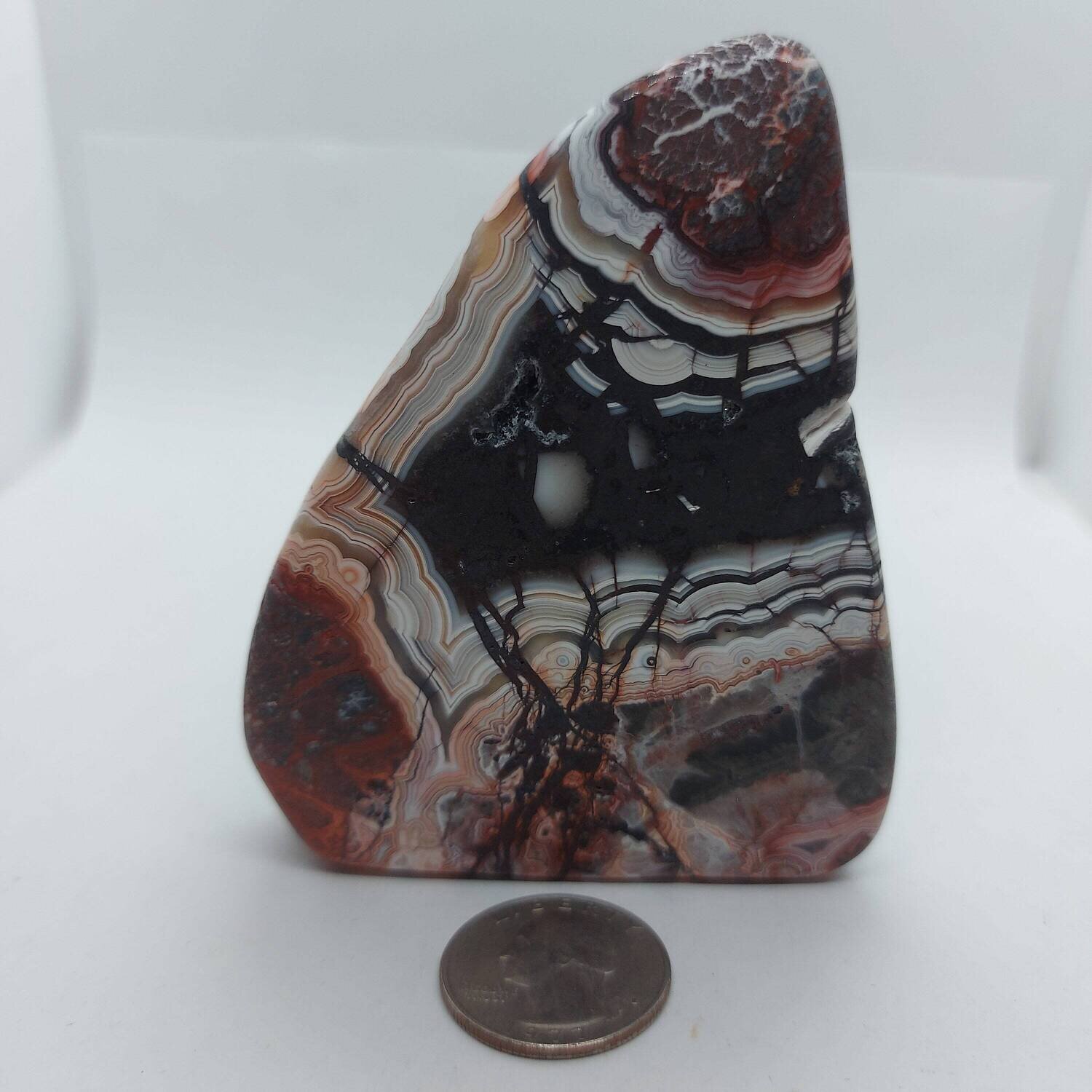 Rosetta Lace Agate Slab