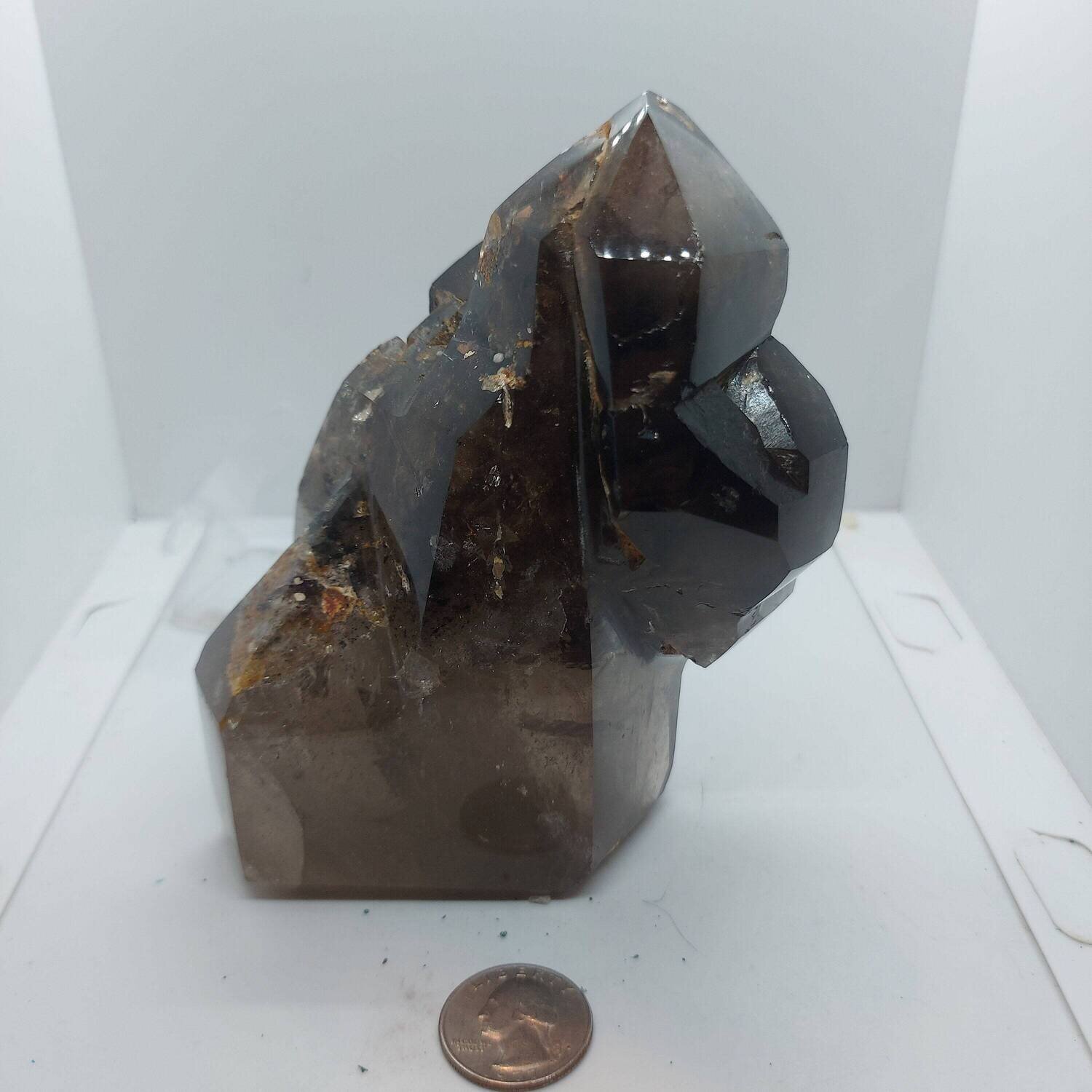 Smokey Scepter Quartz.