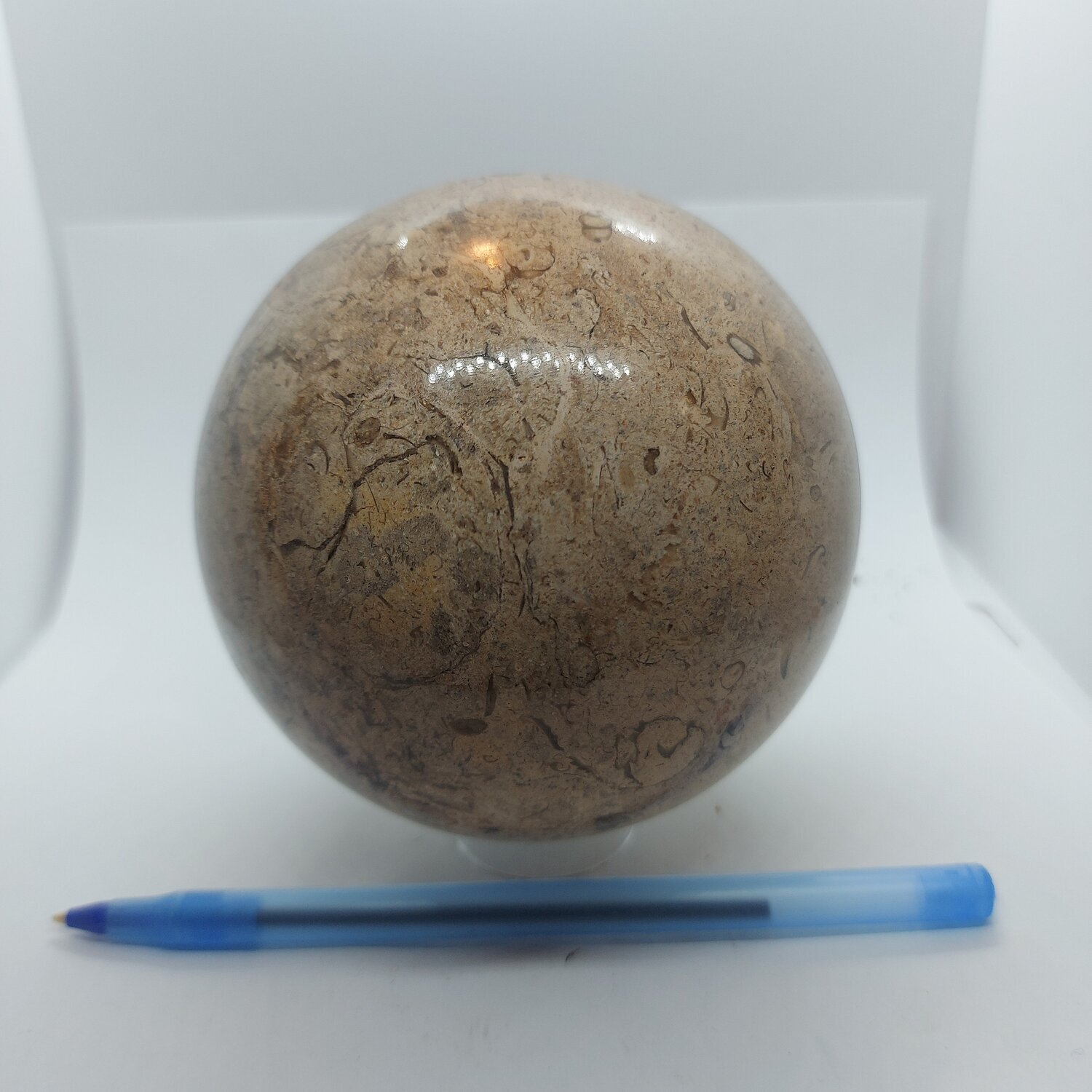 Fossil Sphere