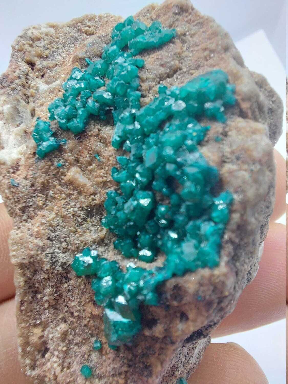 Dioptase Crystalline Specimen