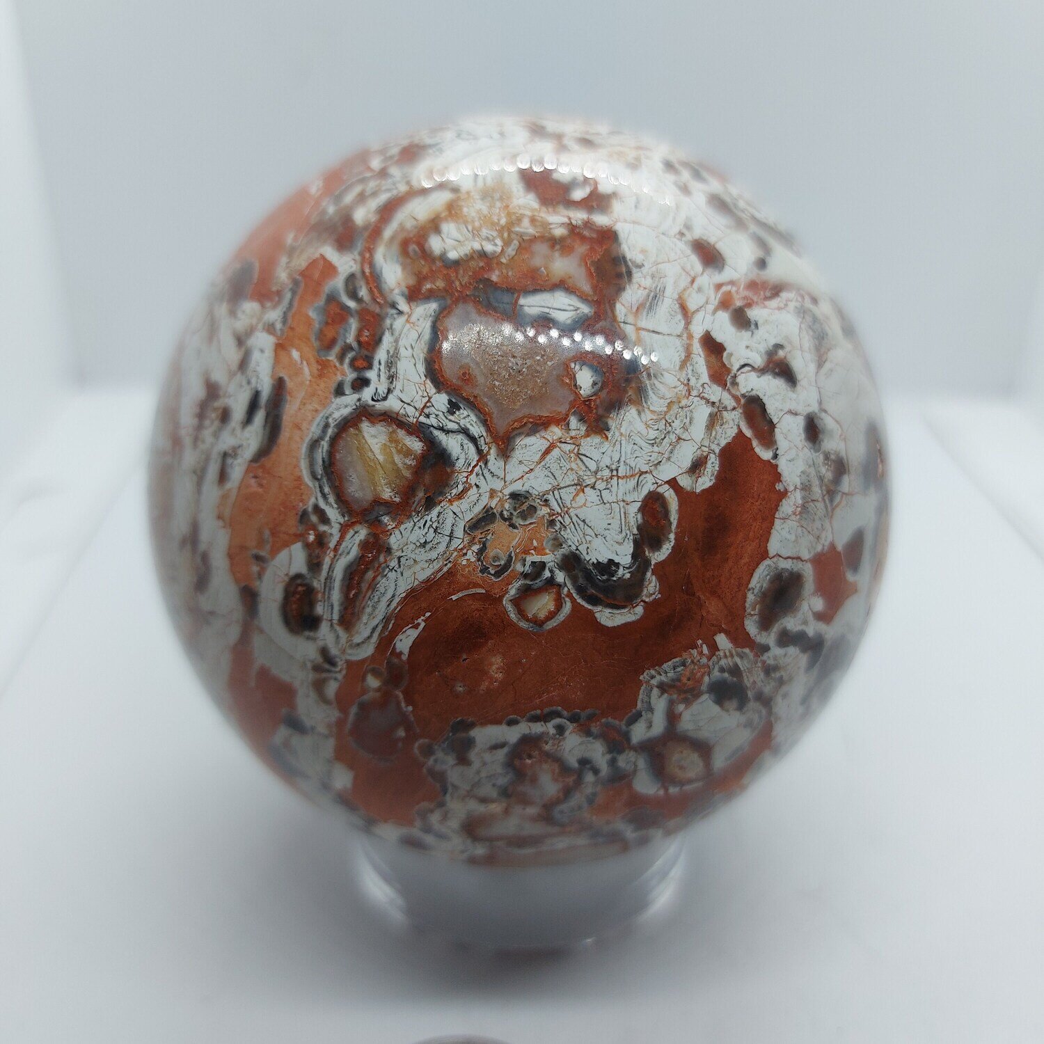 Money Tree Sphere