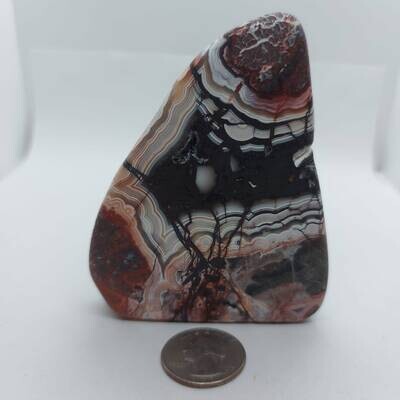 Rosetta Lace Agate Slab