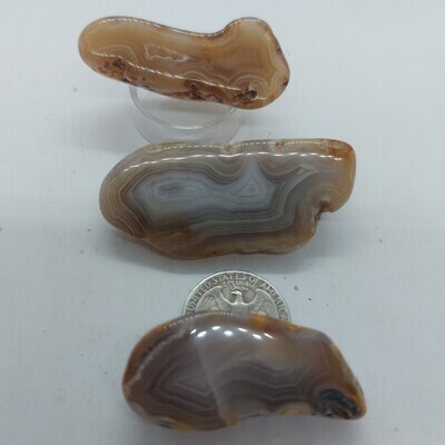 Mexican Agate Nodules