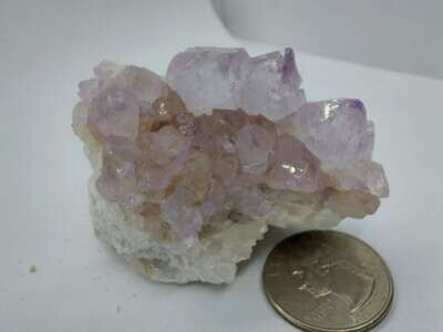 Spirit Quartz/Cactus Flower/Fairy Finger