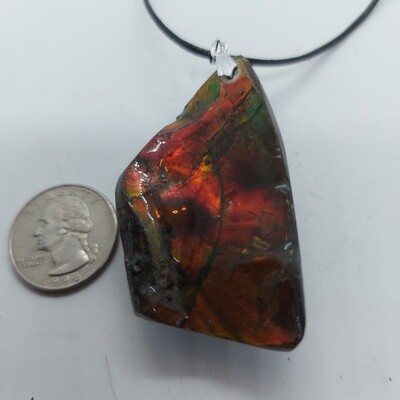 Ammolite Pendant