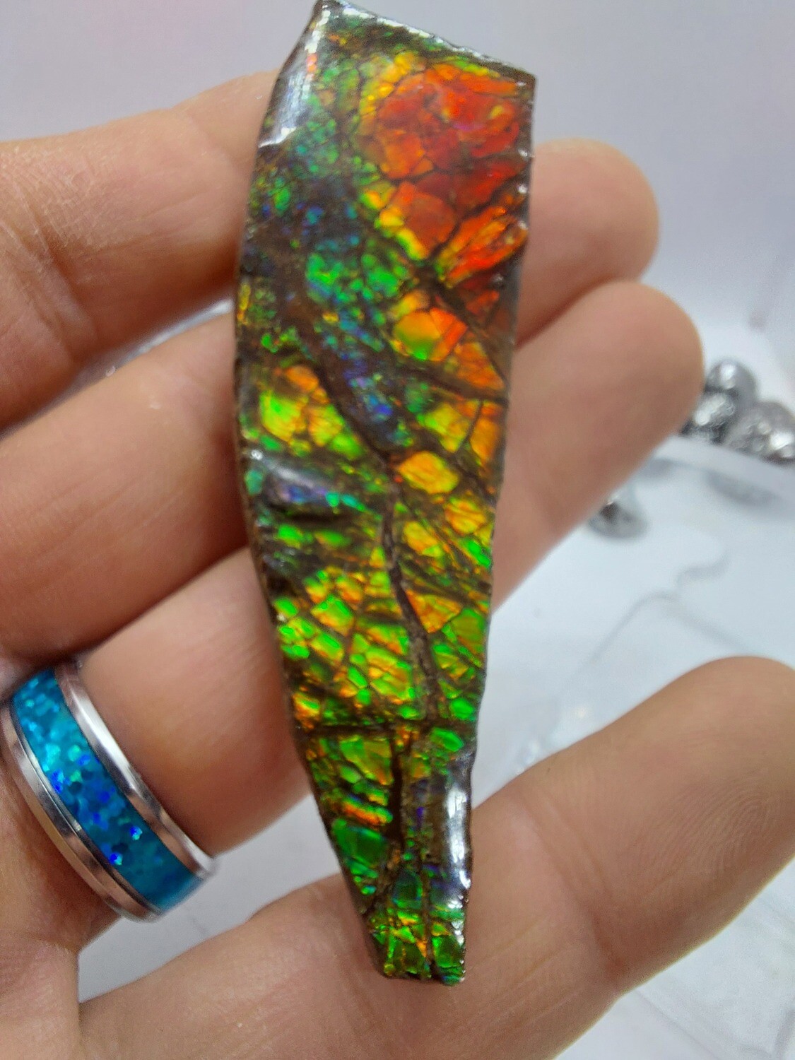 Ammolite