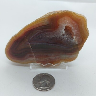 Island Agate Nodule