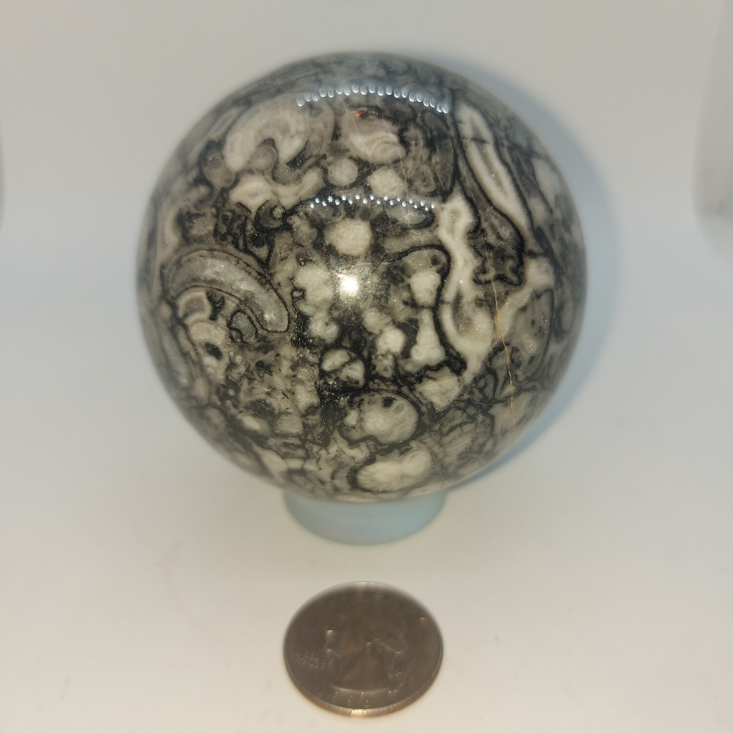Ammonite Fossil Sphere