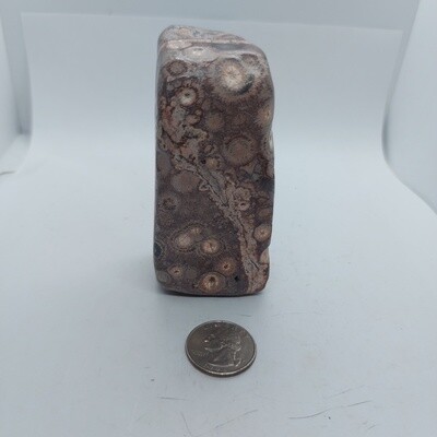 Birds Eye Rhyolite