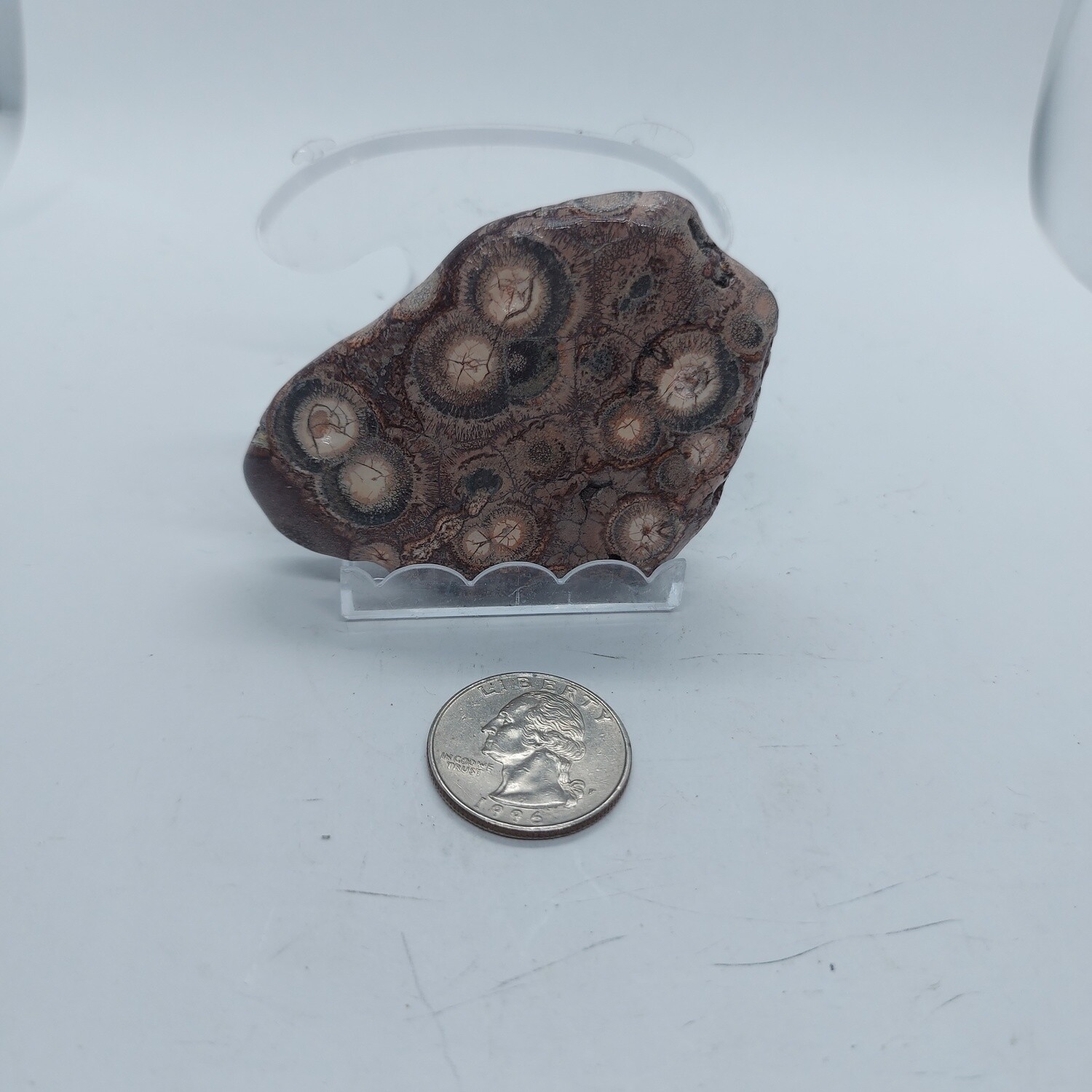 Birds Eye Rhyolite
