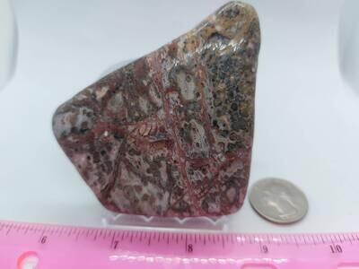 Leopard Skin Jasper