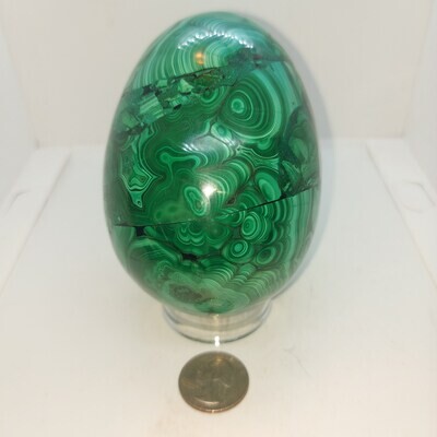 Large Malachite Egg