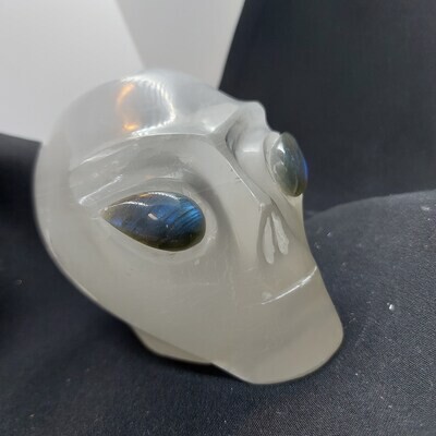 Selenite Skull/E T Scull