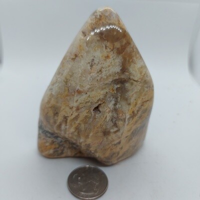 Graveyard Point Plume Agate Freeform