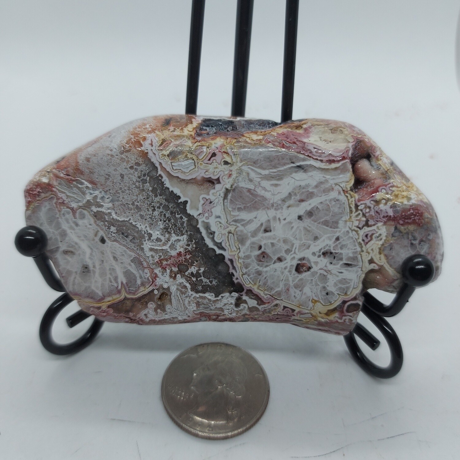 Crazy Lace Agate/ large polished agate