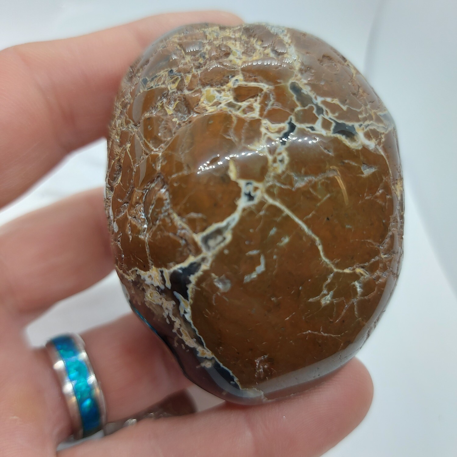 Polished  whole thunderegg
