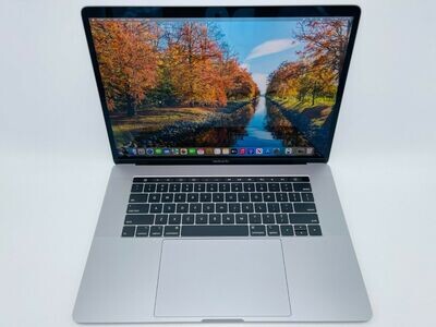 Apple 2019 15 in MacBook Pro TB 2.6GHz 6-Core i7 16GB RAM 256GB SSD RP555X
