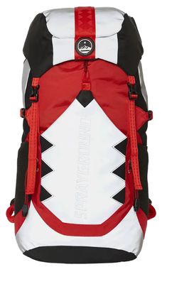 SKY HIGH SEEKERS ARCTIC GLOBAL TREK CAMPER BACKPACK