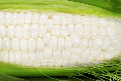 White Corn 白玉米