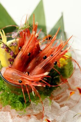 PRAWNS PINK