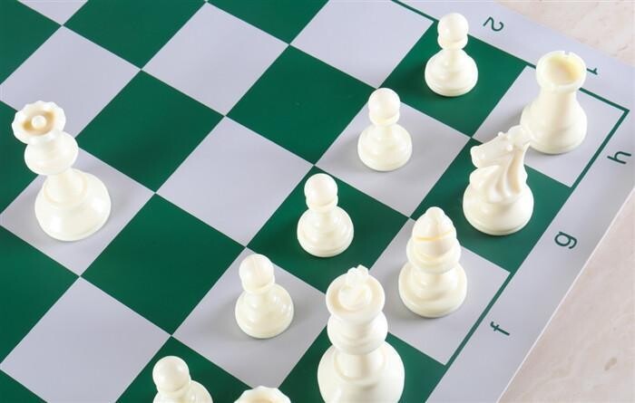 Vinyl Combo Chess Set