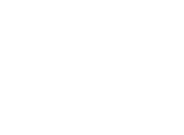 Shaman Creative Store