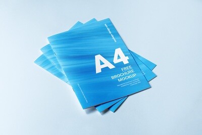 Presse &amp; Librairie