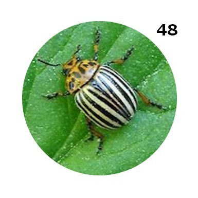 BADGE 50 mm épingle et magnet ... CHOISIS tes IMAGES dans notre panoplie Divers Dévariés