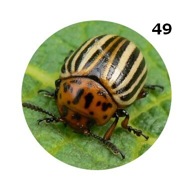 BADGE 50 mm épingle et magnet ... CHOISIS tes IMAGES dans notre panoplie Divers Dévariés
