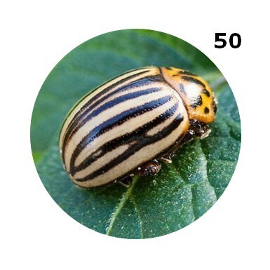 BADGE 50 mm épingle et magnet ... CHOISIS tes IMAGES dans notre panoplie Divers Dévariés