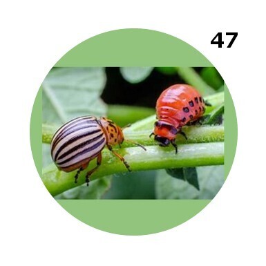 BADGE 50 mm épingle et magnet ... CHOISIS tes IMAGES dans notre panoplie Divers Dévariés