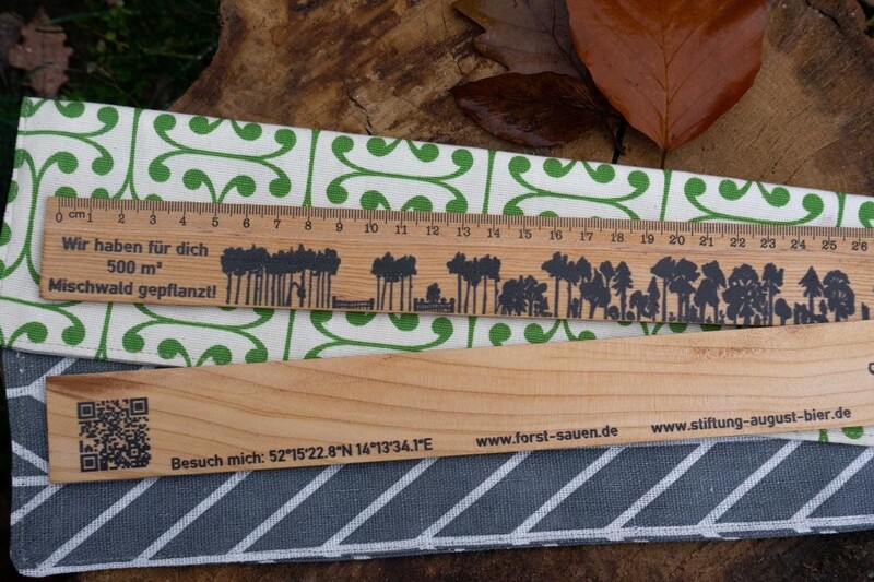Lineal Waldumbau 100 m²