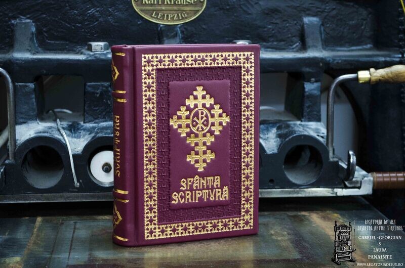 Sfânta Scriptură / Biblia 053 - Ed. IBMBOR - MDL 1