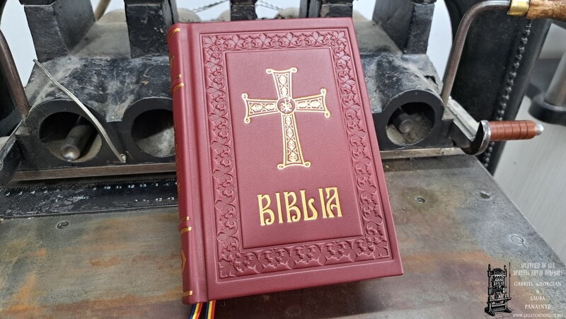 Sfânta Scriptură / Biblia 053 - Ed. IBMBOR - M4