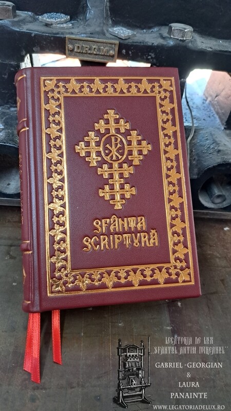 Sfânta Scriptură / Biblia 053 - Ed. IBMBOR - M5