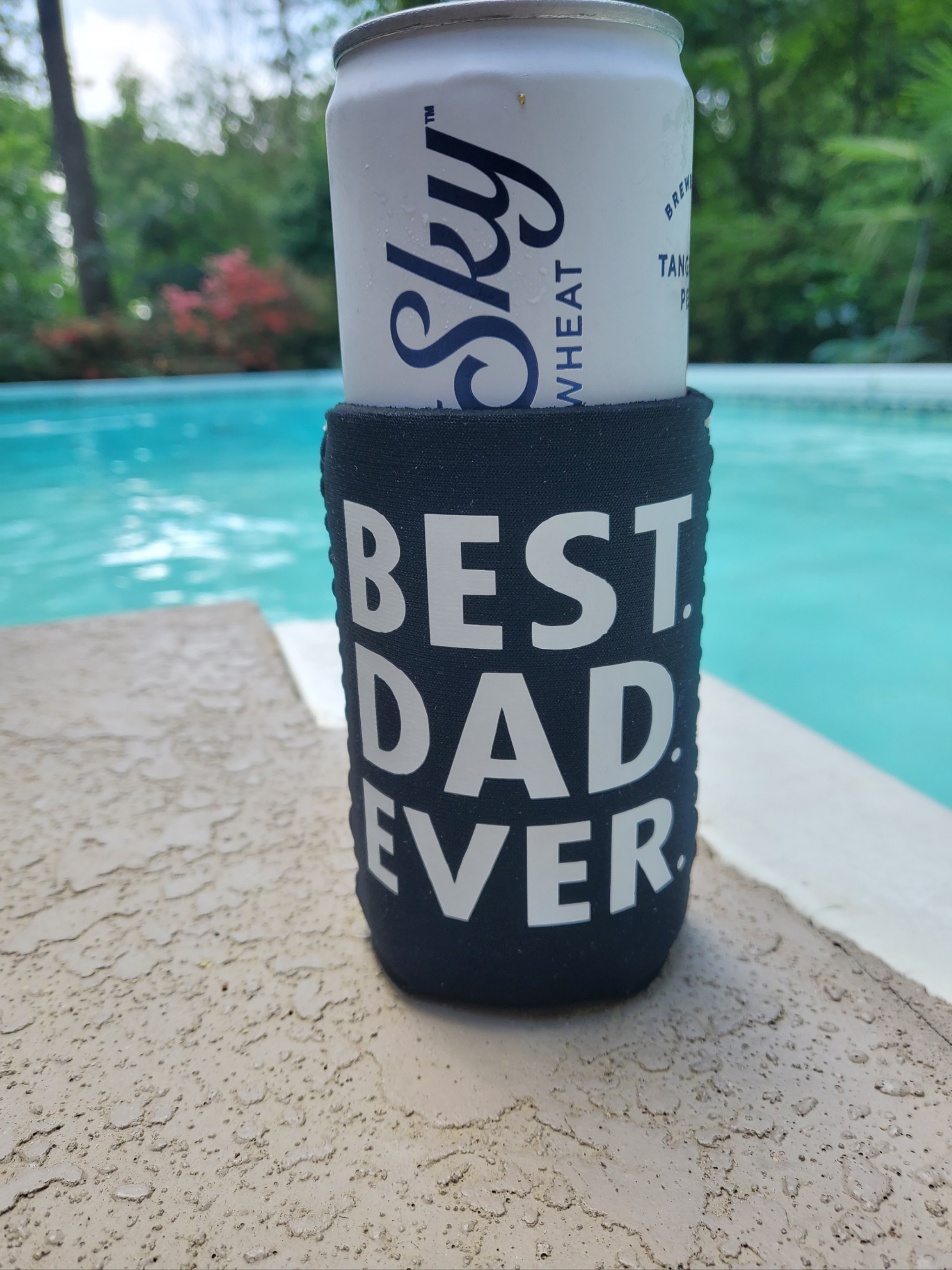 Best. Dad. Ever.