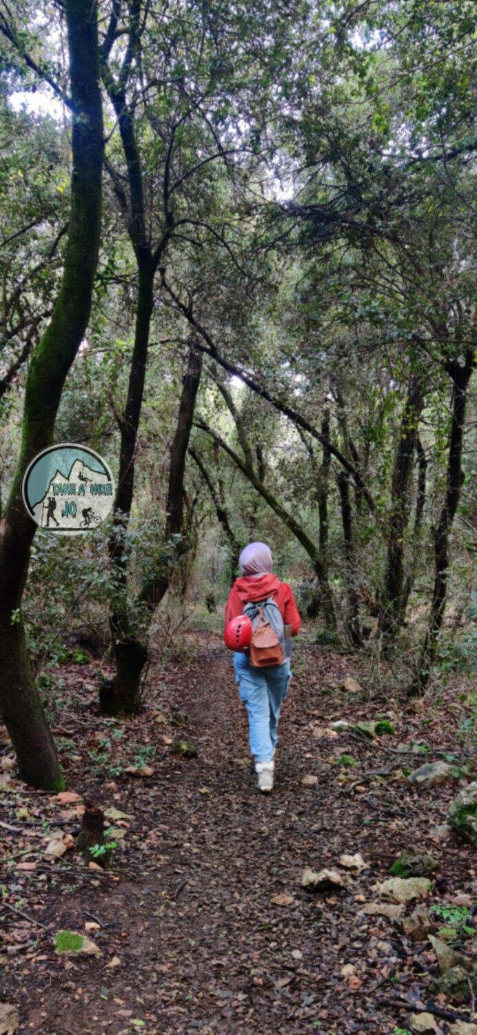 ZOUBIA FOREST HIKE