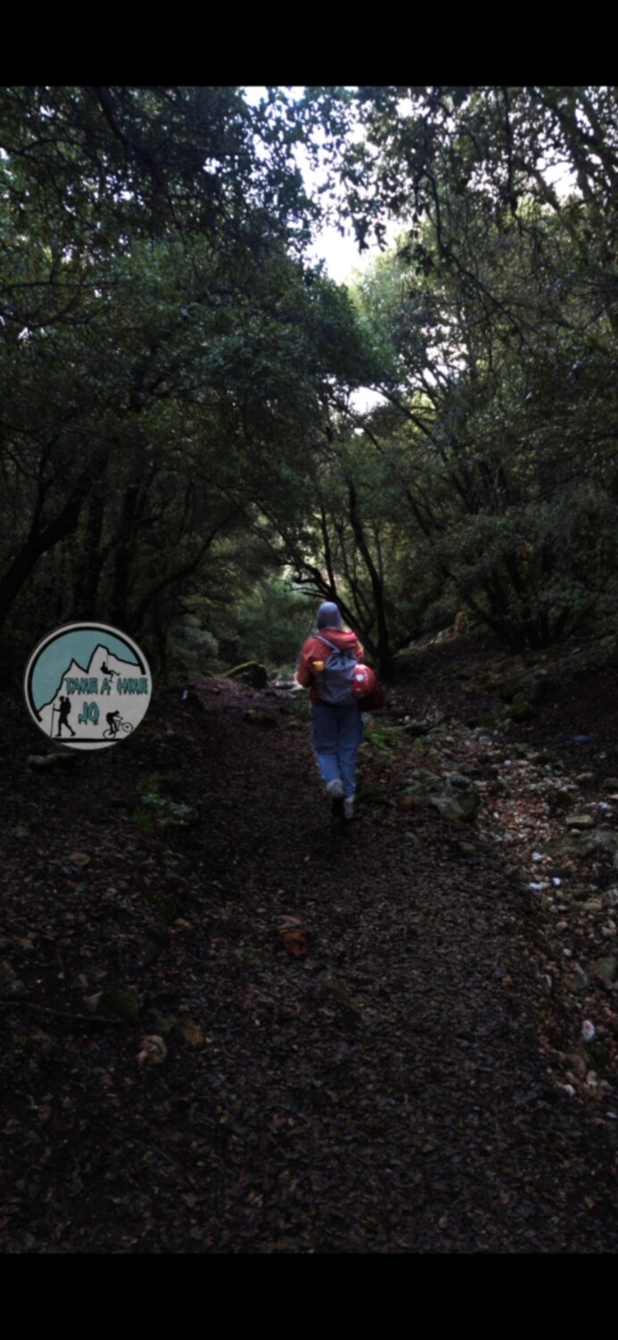 ZOUBIA FOREST HIKE