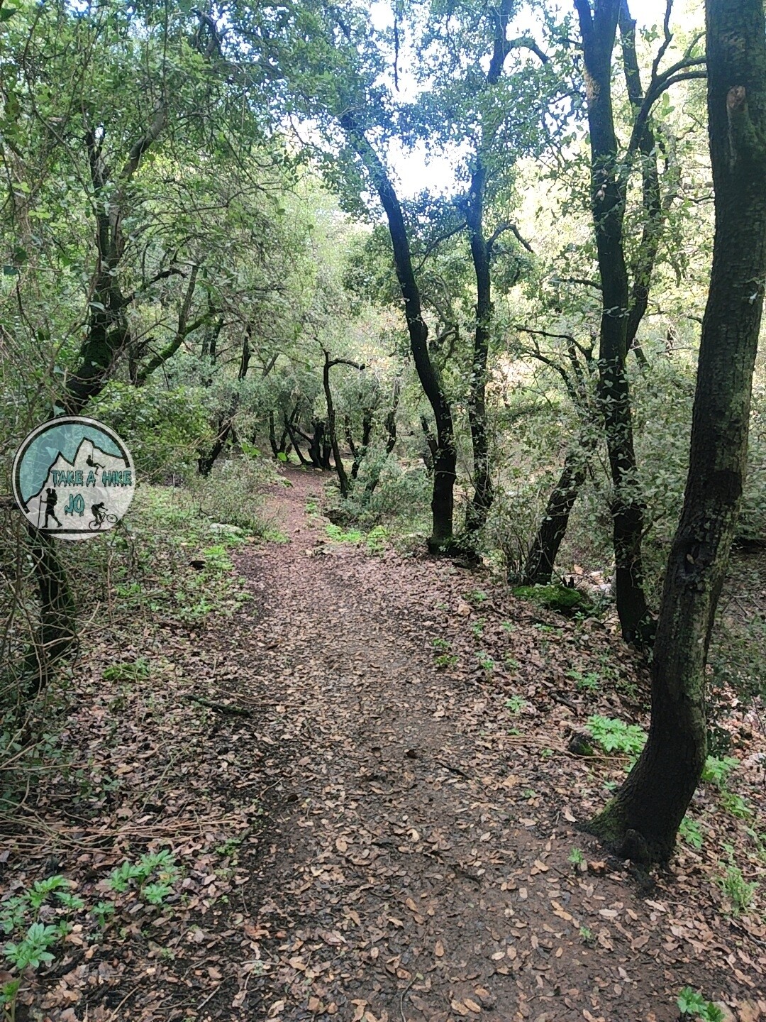 ZOUBIA FOREST HIKE