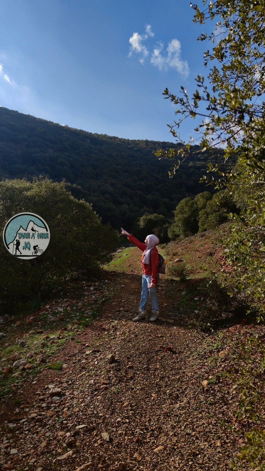 ZOUBIA FOREST HIKE