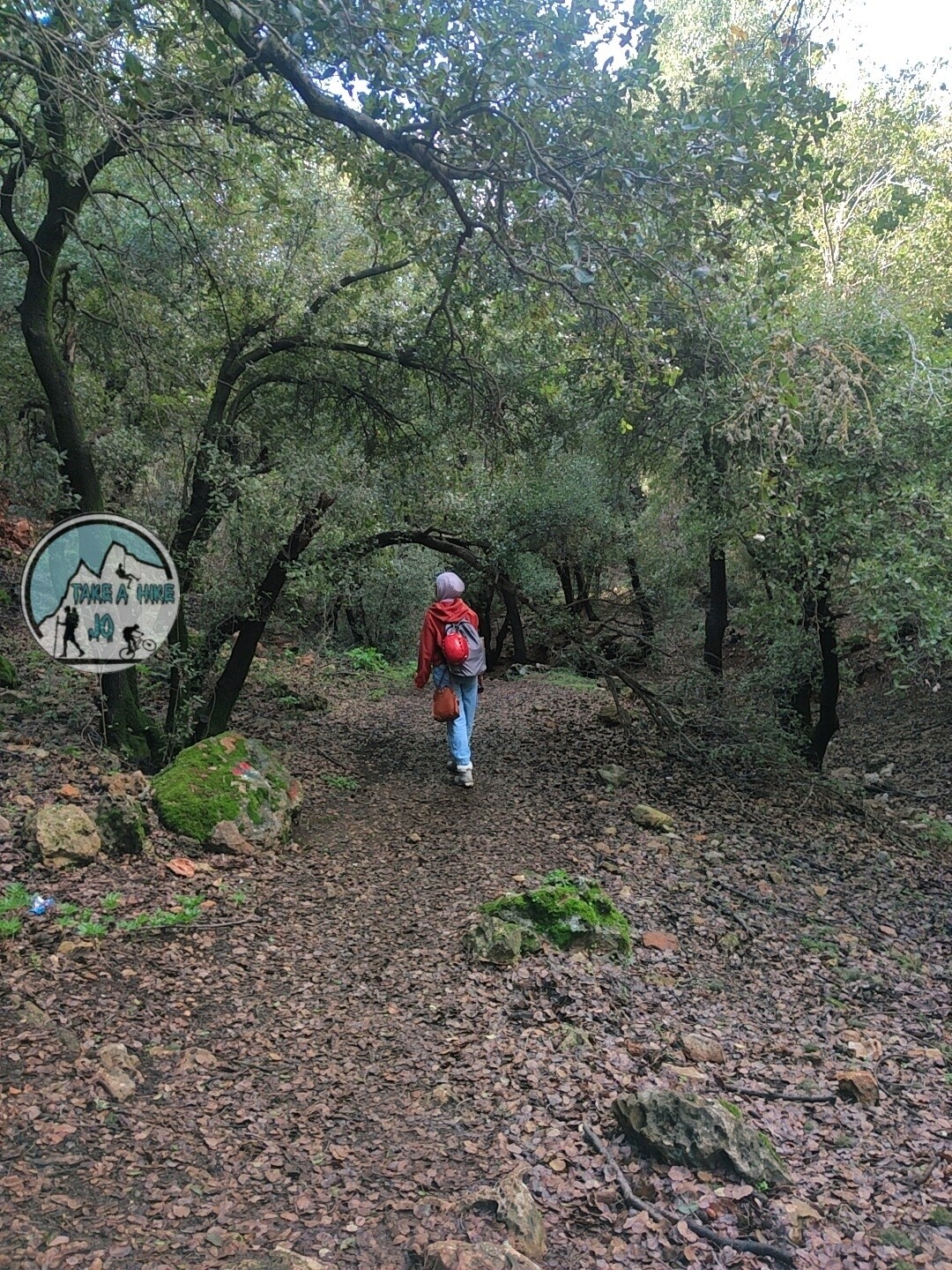 ZOUBIA FOREST HIKE