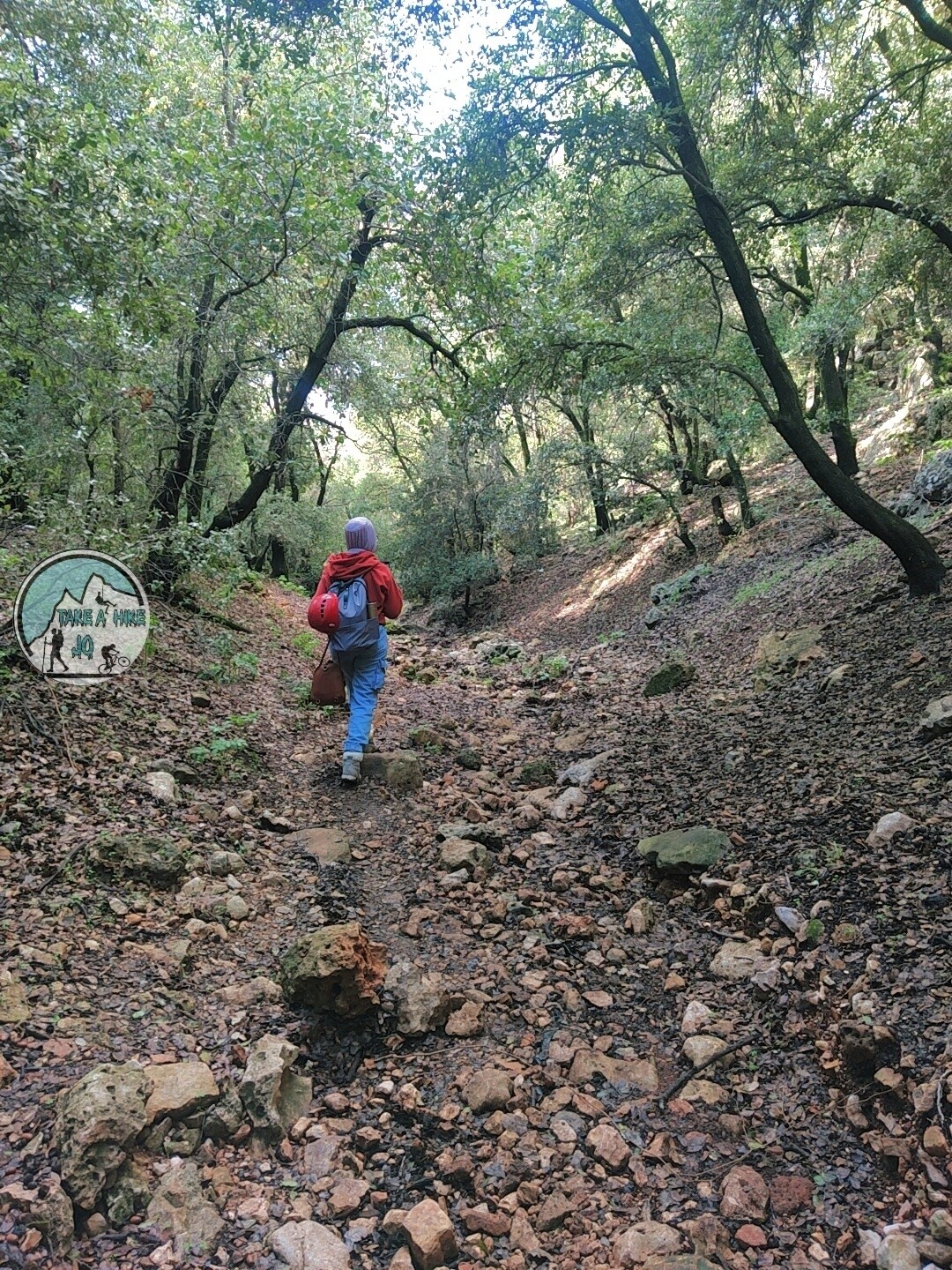 ZOUBIA FOREST HIKE