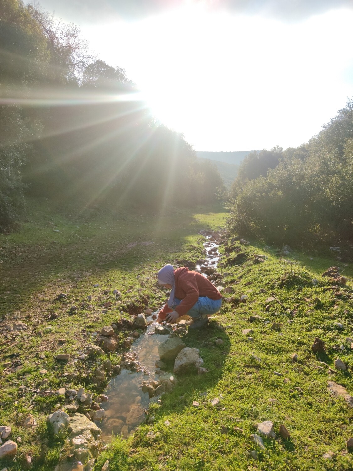 ZOUBIA FOREST HIKE